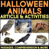 A poster titled "Owl Informational Article and Comprehension Activities," featuring Halloween-themed images of an owl, wolf, tarantula, rat, raven, and toad.