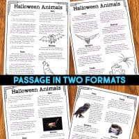 The "Owl Informational Article and Comprehension Activities" features informational text and black-and-white owl illustrations. A bold caption reads: “PASSAGE IN TWO FORMATS.”.