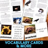 Owl Informational Article and Comprehension Activities provides educational materials, with vocabulary cards featuring words like “poisonous” and “arachnid,” plus informational sheets focused on animals such as owls.
