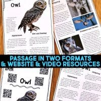 Four Owl Informational Article and Comprehension Activities sheets, featuring owl photos or QR codes, are arranged on a wooden surface. Text overlay: Two article formats, website links, and video resources included.