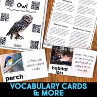 The Owl Informational Article and Comprehension Activities includes an owl factsheet, QR codes, and vocabulary cards featuring words like "perch" with a bird image and "habitat loss" with construction equipment.