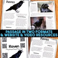 Four educational worksheets about owls are displayed on a wooden surface, each with text, owl photos, and QR codes. A blue banner across the center reads, “PASSAGE IN TWO FORMATS & WEBSITE & VIDEO RESOURCES.”.