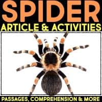 A large spider with black, orange, and white markings is shown on a white background. Bold text above and below reads: SPIDER Article & Activities—Passages, Comprehension & More.