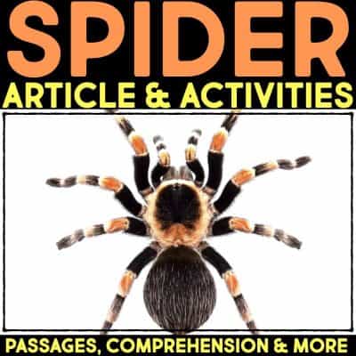 A large spider with black, orange, and white markings is shown on a white background. Bold text above and below reads: SPIDER Article & Activities&mdash;Passages, Comprehension & More.