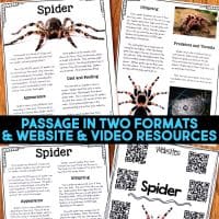 Four educational worksheets about spiders, featuring text, images of spiders and webs, and QR codes for additional online resources. The central banner says “Passage in two formats & website & video resources.”.