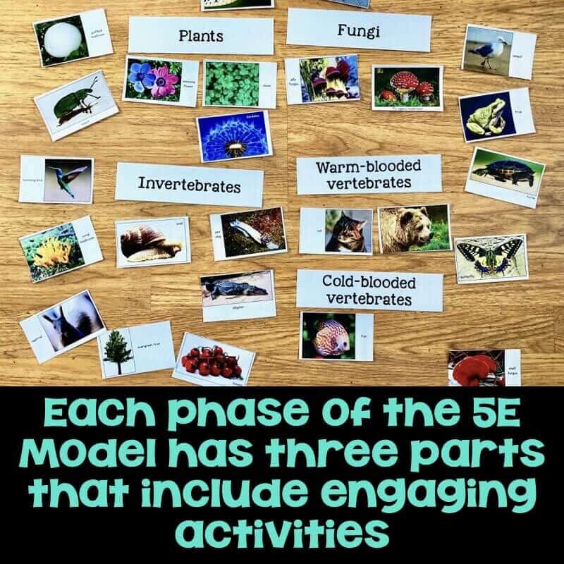 Environment and Traits 5E Unit Plan for Third Grade