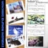 Natural Selection 5E Science Unit Plan for Third Grade