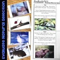 Natural Selection images and descriptions.