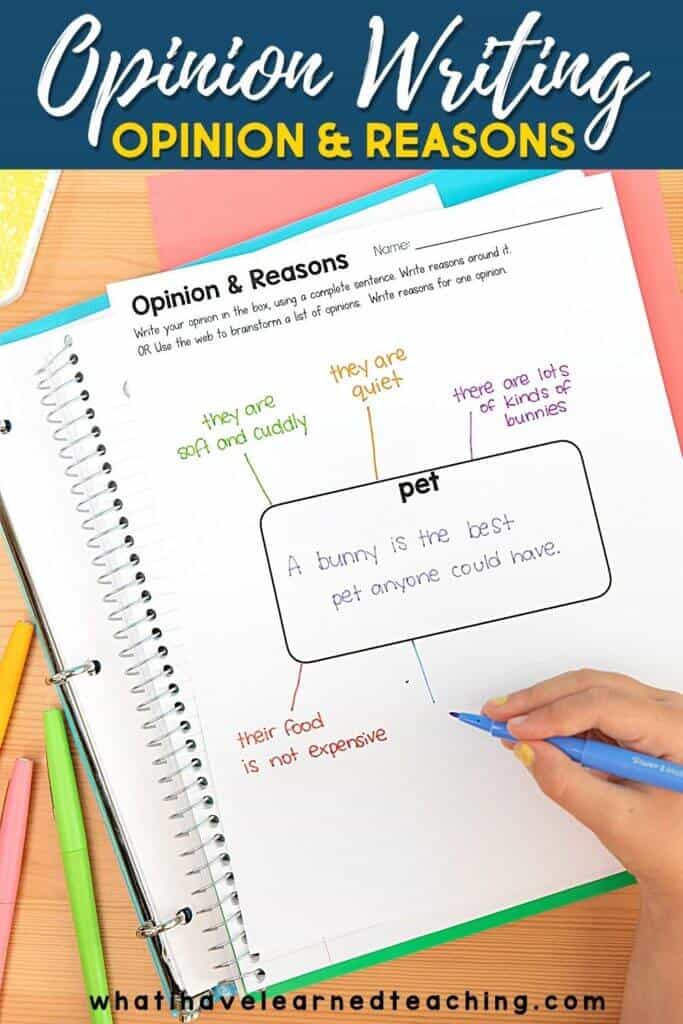opinion and reasons web.