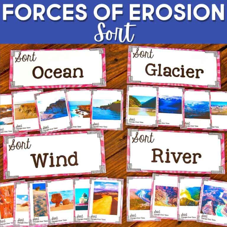A classroom Forces of Erosion Sorting Activity titled Forces of Erosion Sort shows four labeled categories—Ocean, Glacier, Wind, and River—each with photos illustrating different types of landscape erosion caused by each force.