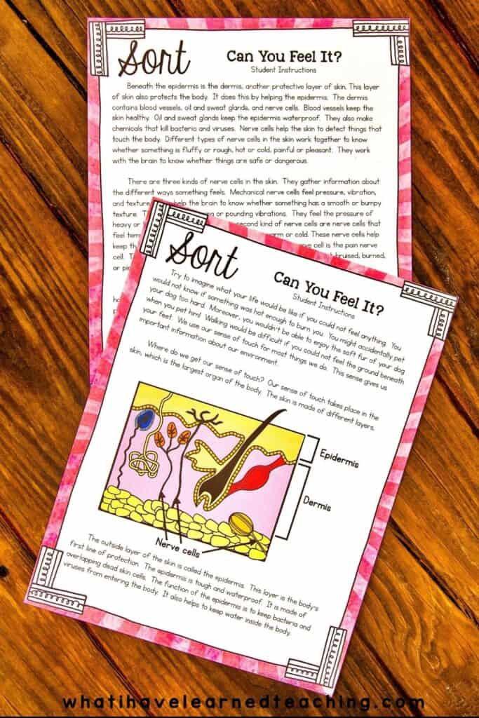 Teach students about nerve cells with this science station. Students sort the type of nerve cell: mechanical, pain, or temperature. This sorting center includes a reading passage to build background knowledge about nerve cells as well as differentiated questions to assess your students' comprehension.