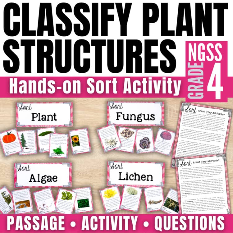 Sort Organisms into Kingdoms - Plants, Fungi, Algae, and Lichen 2 Image is an educational activity for Grade 4 featuring sorting cards to classify organisms into Plant, Fungus, Algae, and Lichen kingdoms. Includes labeled cards, images, passages, and question worksheets.