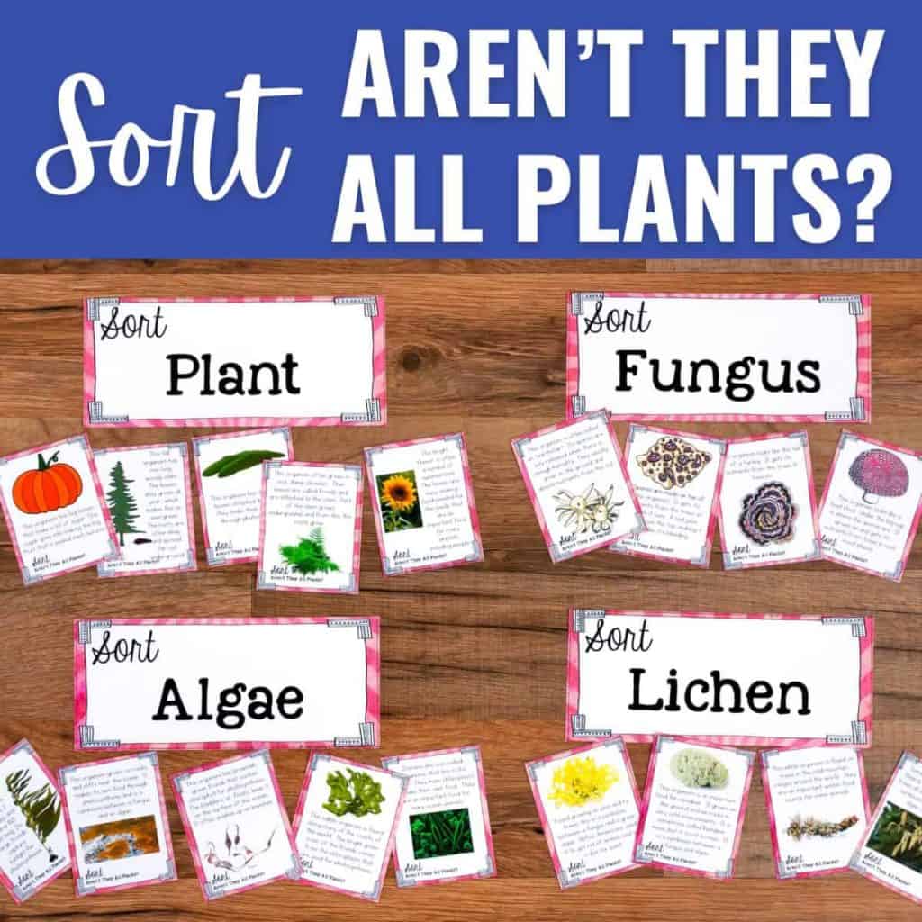 Four groups of illustrated cards labeled Plant, Fungus, Algae, and Lichen are spread on a wooden table with the text &ldquo;Aren&rsquo;t they all plants?&rdquo; above, exploring how we classify organisms into kingdoms to highlight their differences.