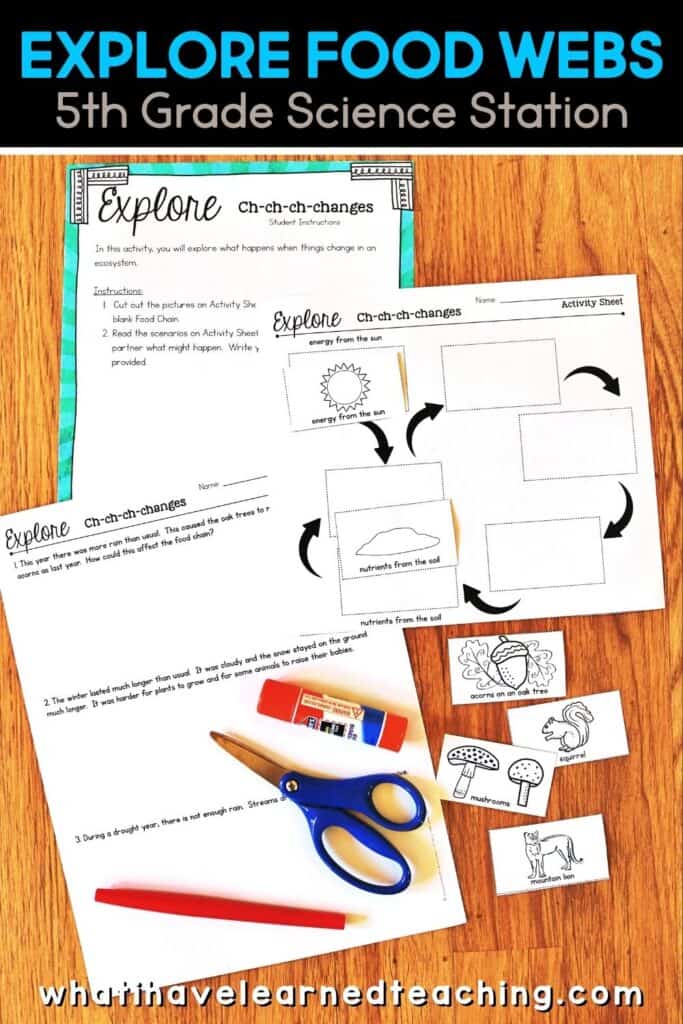 Fifth grade science stations all about Food Webs. These science centers follow the Next Generation Science Standards (NGSS) with hands-on activities, videos, games, experiments, and more! Includes reading passages, differentiated questions, engaging activities that make science planning easy! Students learn about decomposition, ecosystems, producers and consumers and more!