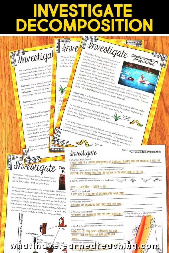 Fifth grade science stations all about Food Webs. These science centers follow the Next Generation Science Standards (NGSS) with hands-on activities, videos, games, experiments, and more! Includes reading passages, differentiated questions, engaging activities that make science planning easy! Students learn about decomposition, ecosystems, producers and consumers and more!