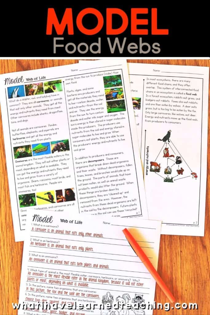 Fifth grade science stations all about Food Webs. These science centers follow the Next Generation Science Standards (NGSS) with hands-on activities, videos, games, experiments, and more! Includes reading passages, differentiated questions, engaging activities that make science planning easy! Students learn about decomposition, ecosystems, producers and consumers and more!