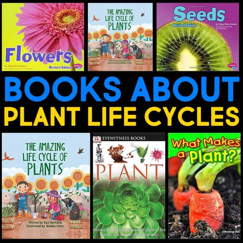 A collage of six colorful Plant Life Cycle Books covers, featuring images of flowers, seeds, plants, and children, with bold text in the center reading BOOKS ABOUT PLANT LIFE CYCLES.