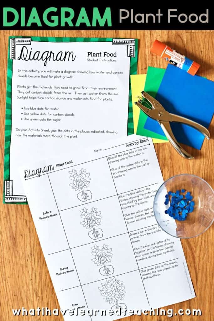 Fifth grade science stations all about plant growth. These science centers follow the Next Generation Science Standards (NGSS) with hands-on activities, videos, games, experiments, and more! Includes reading passages, differentiated questions, engaging activities that make science planning easy! Students learn about photosynthesis, what plants need to grow, plant cells, and more!