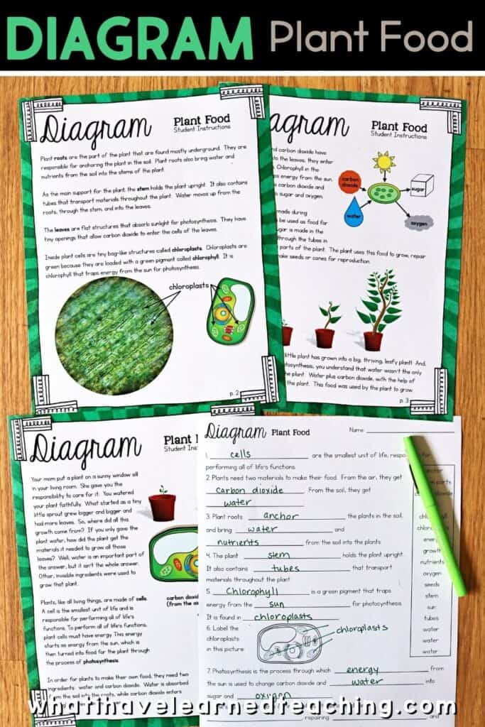 Fifth grade science stations all about plant growth. These science centers follow the Next Generation Science Standards (NGSS) with hands-on activities, videos, games, experiments, and more! Includes reading passages, differentiated questions, engaging activities that make science planning easy! Students learn about photosynthesis, what plants need to grow, plant cells, and more!