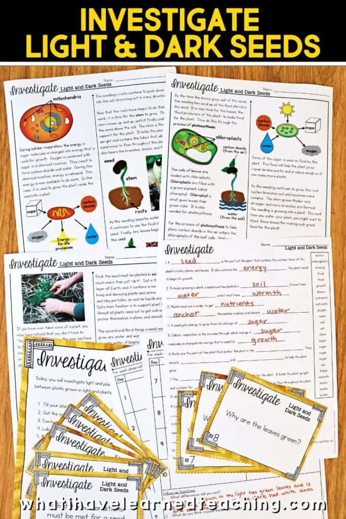 Fifth grade science stations all about plant growth. These science centers follow the Next Generation Science Standards (NGSS) with hands-on activities, videos, games, experiments, and more! Includes reading passages, differentiated questions, engaging activities that make science planning easy! Students learn about photosynthesis, what plants need to grow, plant cells, and more!
