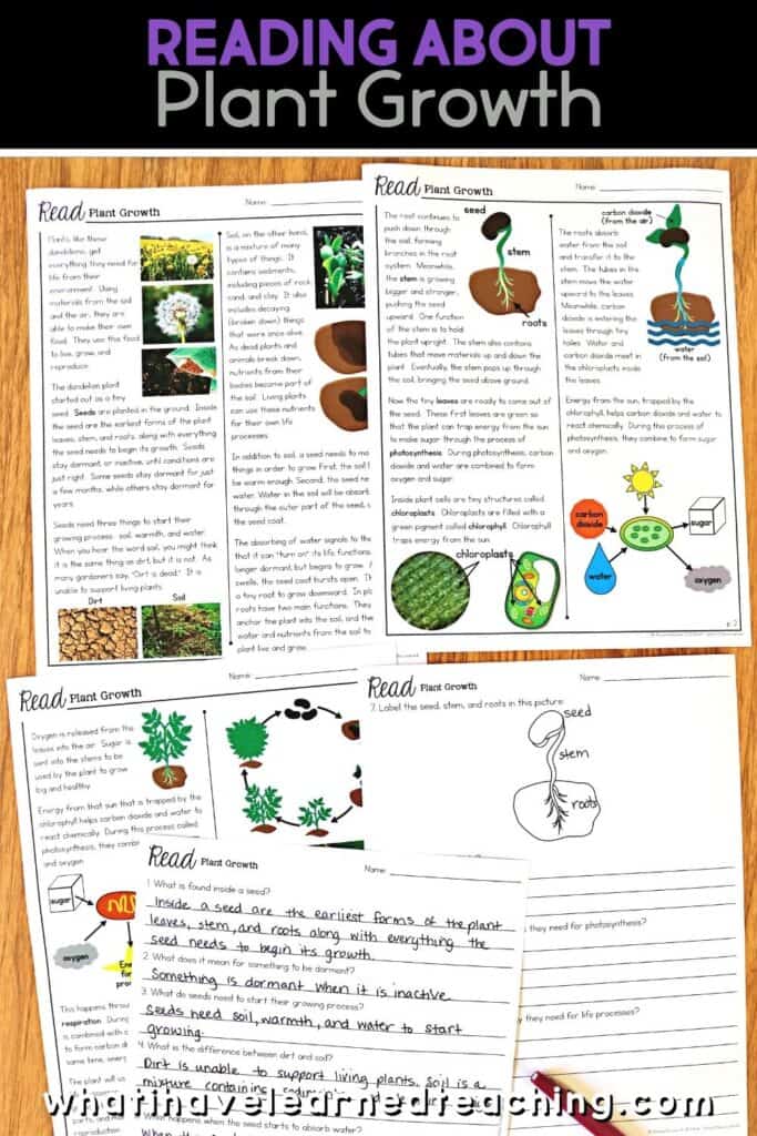 Fifth grade science stations all about plant growth. These science centers follow the Next Generation Science Standards (NGSS) with hands-on activities, videos, games, experiments, and more! Includes reading passages, differentiated questions, engaging activities that make science planning easy! Students learn about photosynthesis, what plants need to grow, plant cells, and more!