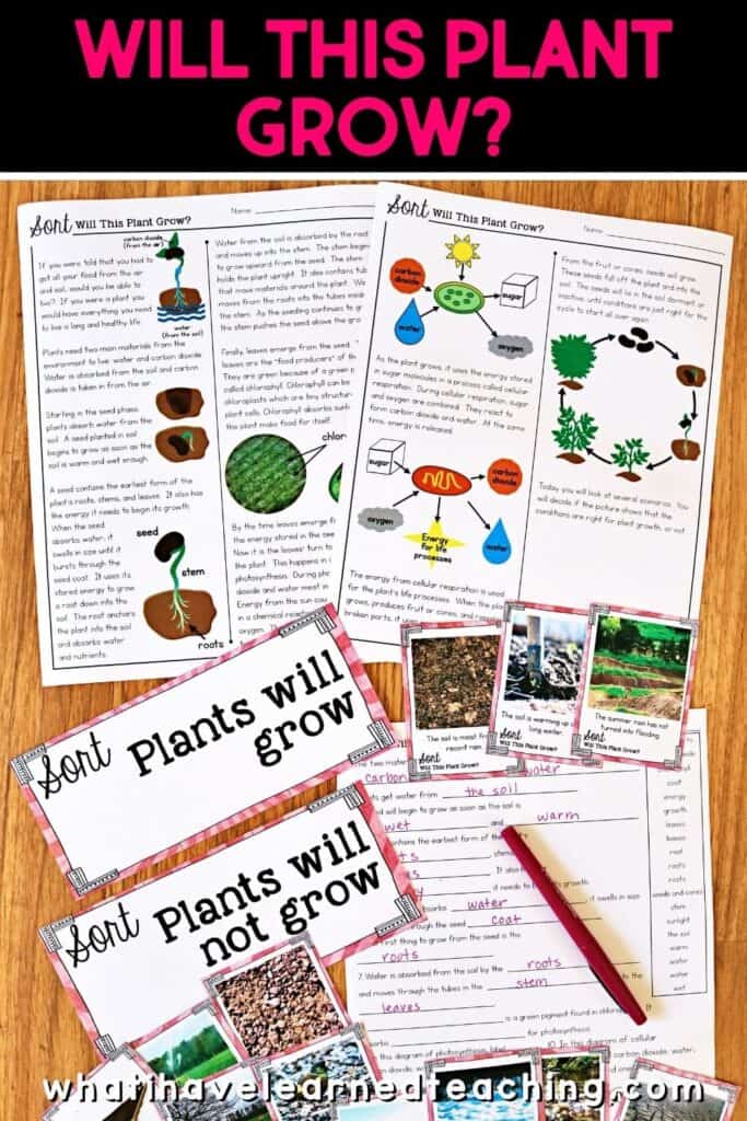 Fifth grade science stations all about plant growth. These science centers follow the Next Generation Science Standards (NGSS) with hands-on activities, videos, games, experiments, and more! Includes reading passages, differentiated questions, engaging activities that make science planning easy! Students learn about photosynthesis, what plants need to grow, plant cells, and more!