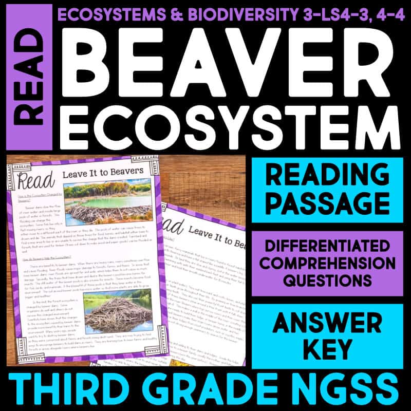 This fun, hands-on activity will help kids learn about the the beaver ecosystem. They'll read a passage about the topic and then answer comprehension questions. It's a great way to get them interested in ecosystems and conservation!