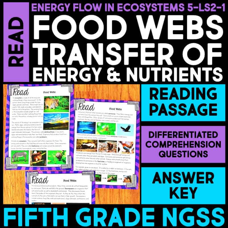 This fun, hands-on activity will help kids learn about food webs. They'll read a passage about the topic and then answer comprehension questions. It's a great way to get them interested in ecosystems and conservation!