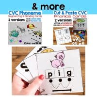 cvc segmenting, blending, and phonics cards