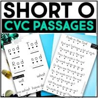 Looking for a fun and engaging way to help your child learn how to read? Check out our word family phonics readers! These three passages per word family are perfect for helping your little one develop fluency and comprehension. Plus, each passage includes blending cues to help them sound out words with ease. Fun for the whole family!