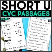 Looking for a fun and engaging way to help your child learn how to read? Check out our word family phonics readers! These three passages per word family are perfect for helping your little one develop fluency and comprehension. Plus, each passage includes blending cues to help them sound out words with ease. Fun for the whole family!
