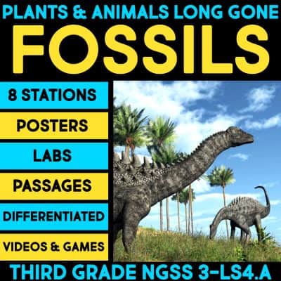 plants and animals long gone fossils cover