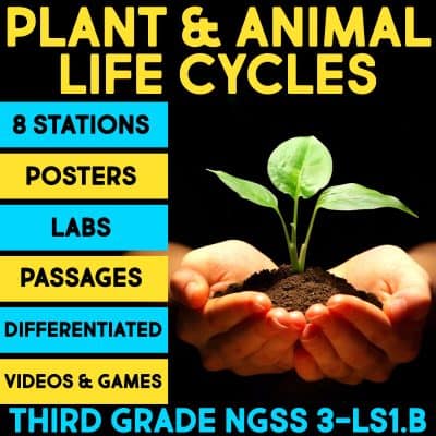 plant and animal life cycles cover