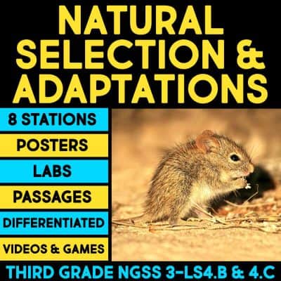 natural selection and adaptations cover