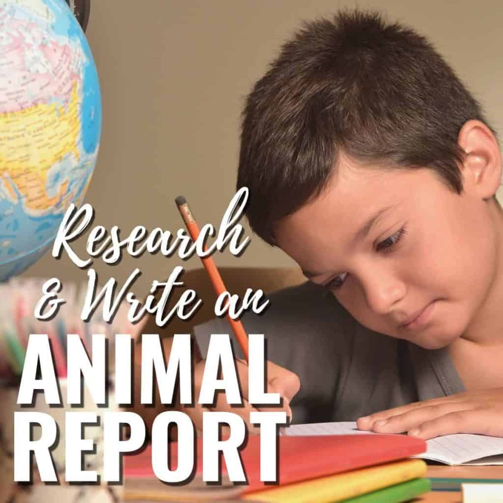 A boy writes in a notebook with a pencil at a desk near a globe. Overlay text: Teach students to write animal reports & research using the teach-students-write-animal-reports template.