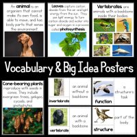 The Structures and Functions 5E NGSS Science Unit features educational posters defining terms such as animal, leaves, vertebrates, invertebrates, cone-bearing plants, function, and structure with relevant images and diagrams.