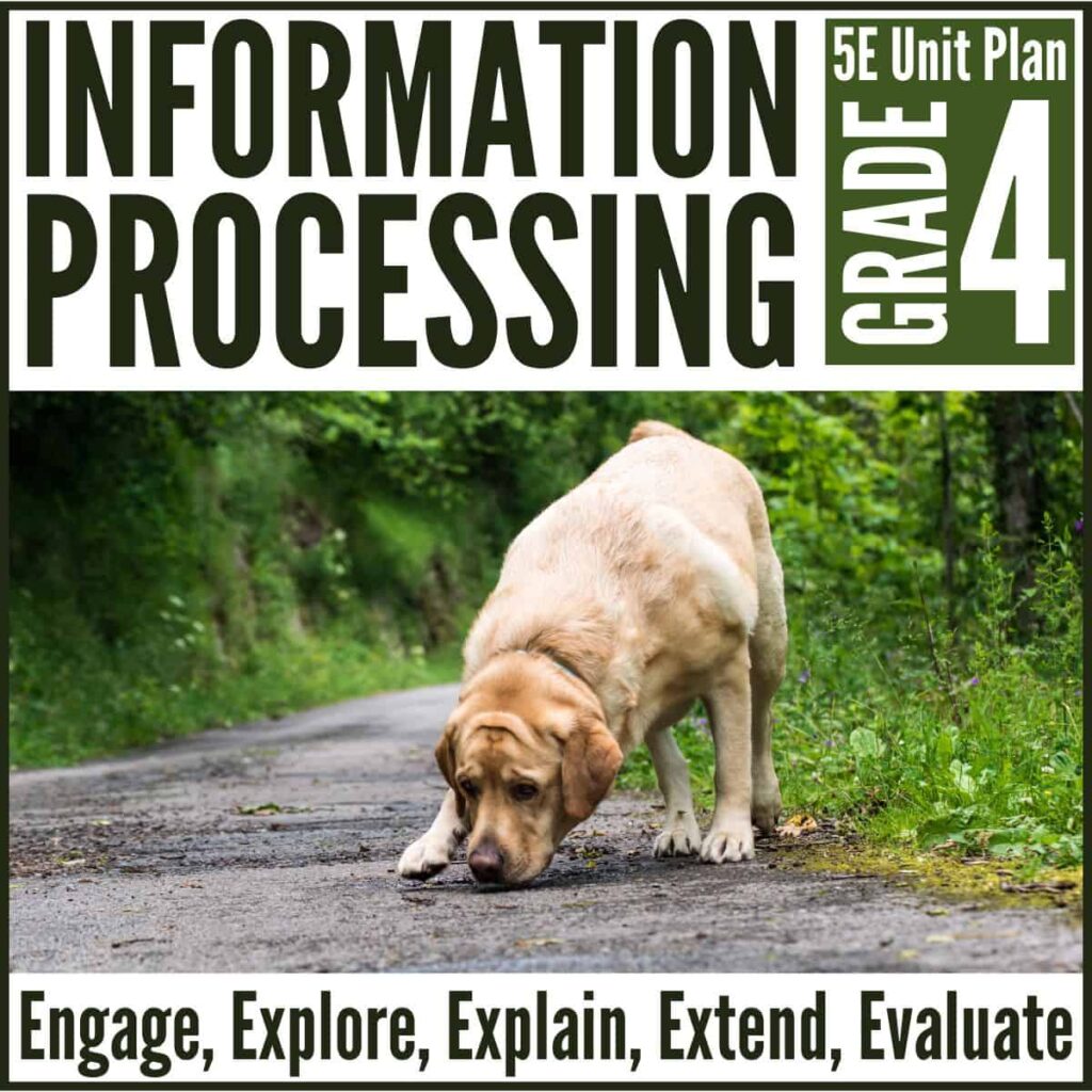 Information Processing 5E NGSS Science Unit Plan