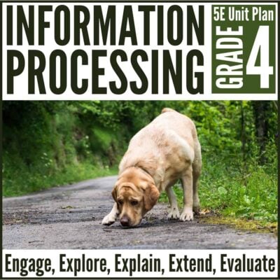 Information Processing cover.