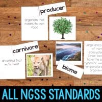 3rd Grade Science Vocabulary Cards & Big Idea Posters for NGSS