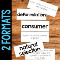 3rd Grade Science Vocabulary Cards & Big Idea Posters for NGSS
