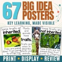 Explore 3rd Grade Science Vocabulary 2—a set of 67 Big Idea Posters highlighting essential learning concepts! Example posters present inherited and non-inherited traits in plants and animals with engaging photos of ladybugs, a giraffe, and grass. These vibrant visuals make an ideal addition to your third grade science vocabulary cards.