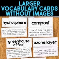 5th Grade Science Vocabulary Cards & Big Idea Posters for NGSS