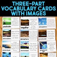 Science Vocabulary Cards & Big Idea Posters - 2nd, 3rd, 4th, and 5th Grades BUNDLE