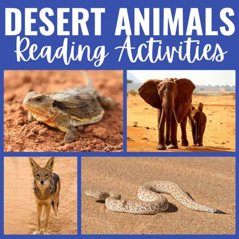 A collage titled Desert Animals Reading Activities features desert animals—a lizard, two elephants, a jackal, and a snake—all set in sandy environments showcasing fascinating animals in the desert.
