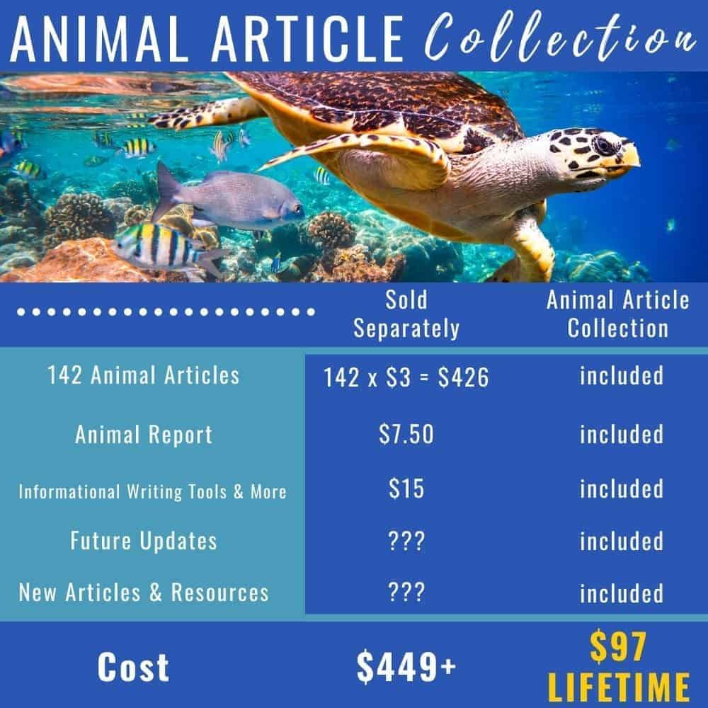animal article collection prices.