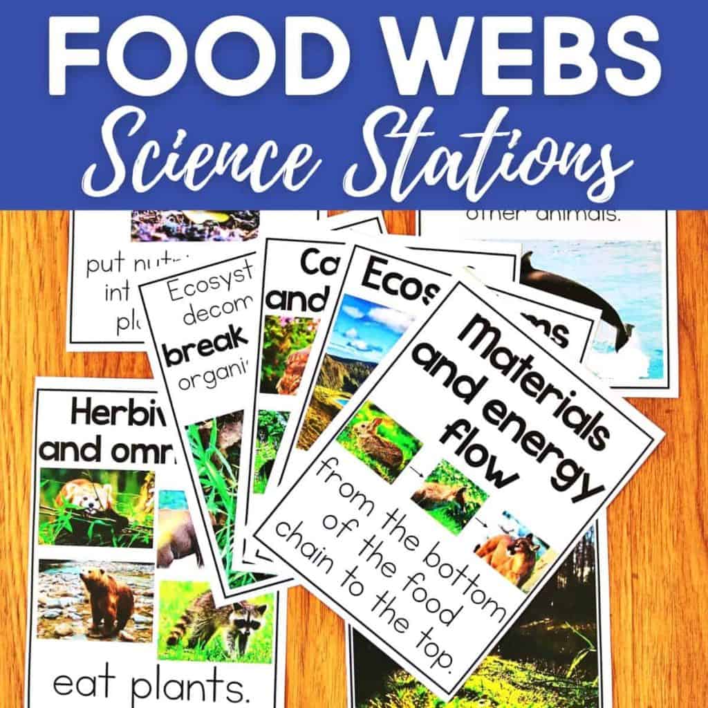 A set of colorful educational cards about food webs, featuring photos of animals and text on topics like energy flow, herbivores, omnivores, ecosystems, and decomposers, arranged on a wooden surface.