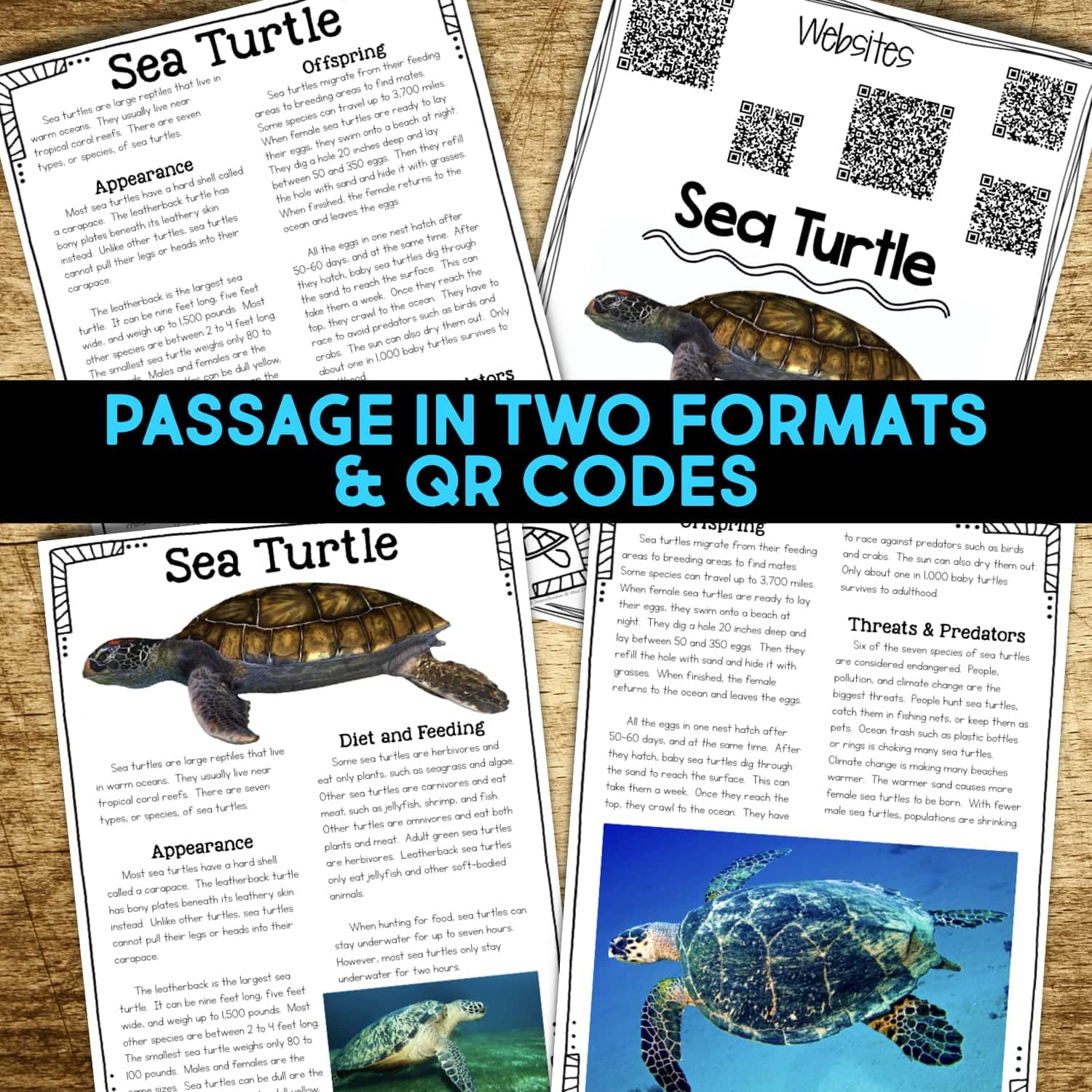 sea turtles articles.