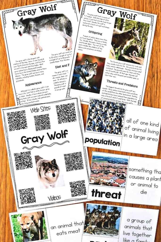 Animal Article Collection