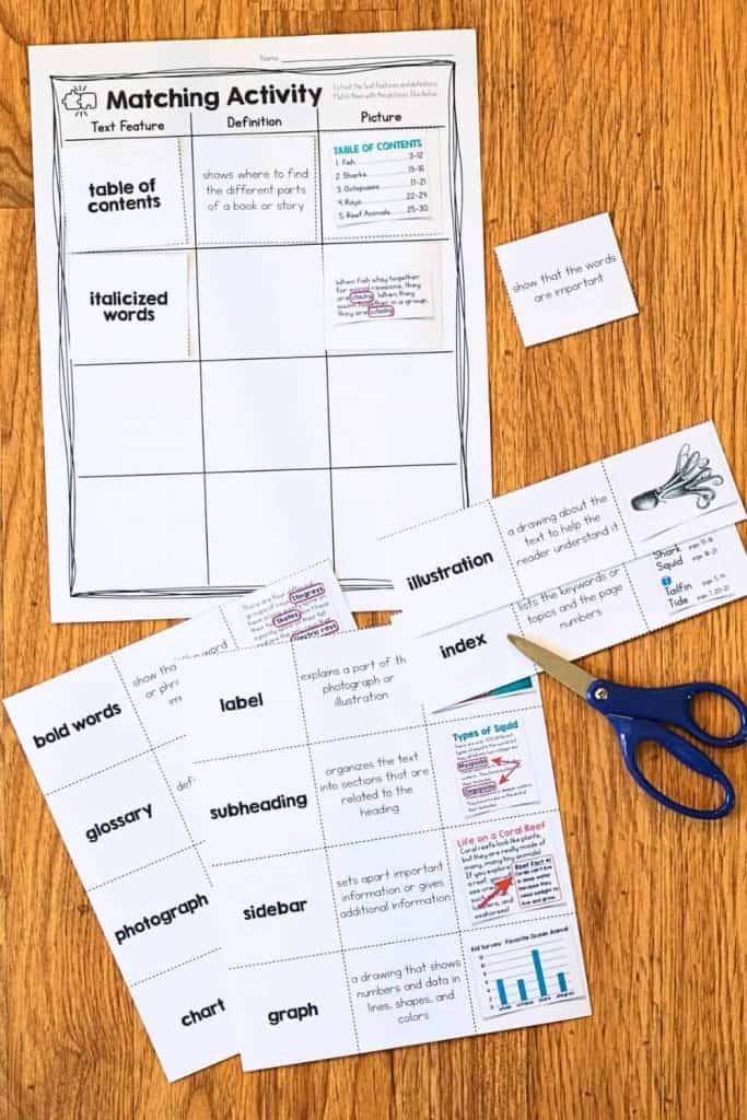 What are Text Features? Effective Strategies for Teaching Text Features 4 text features matching activity.