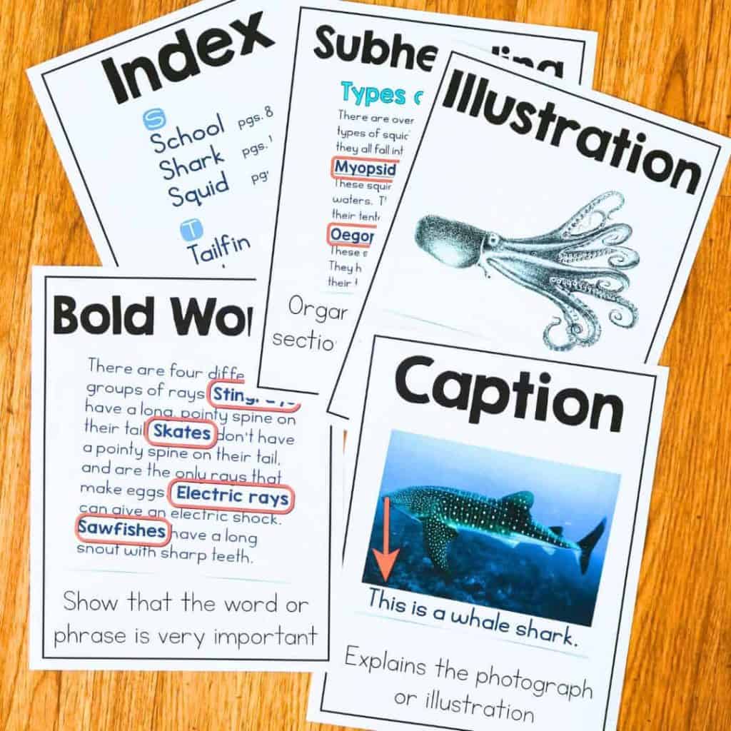 What are Text Features? Effective Strategies for Teaching Text Features 6 text features posters.